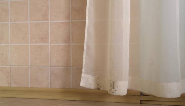 Mold Documentation for Insurance Claims in Moose Wilson Road, WY
