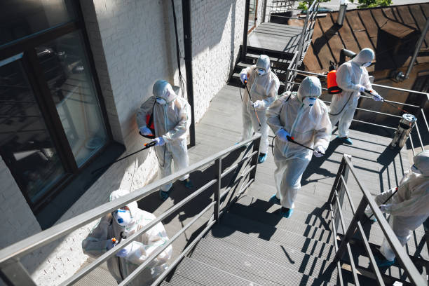 Best Mold Removal for HVAC Installations  in Moose Wilson Road, WY