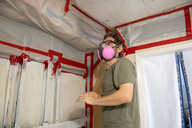  Moose Wilson Road, WY Mold Removal Pros