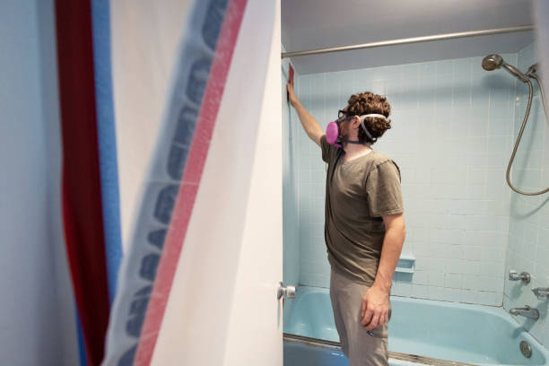 Best Mold Odor Removal Services  in Moose Wilson Road, WY