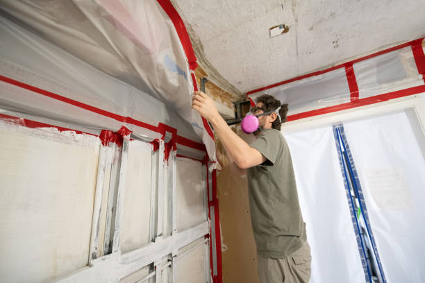 Dehumidification Services in Moose Wilson Road, WY