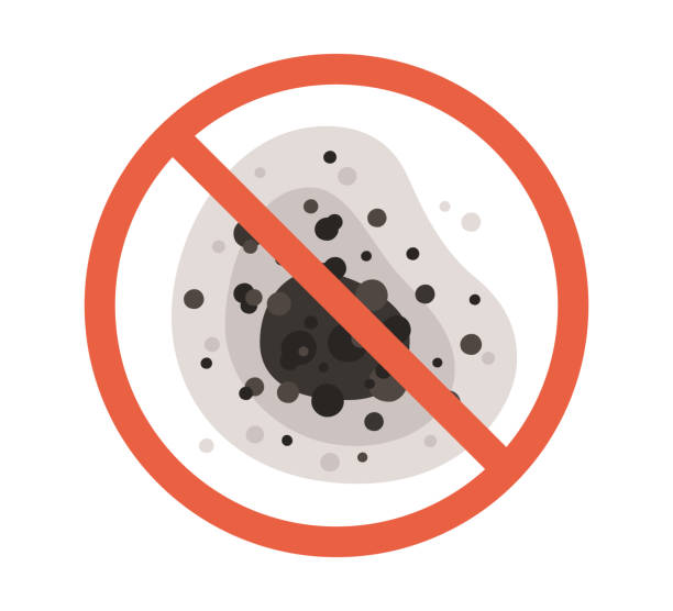 Best Environmental Consulting for Mold Prevention  in Moose Wilson Road, WY
