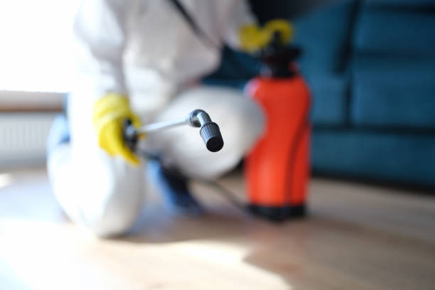 Best Industrial Mold Remediation  in Moose Wilson Road, WY